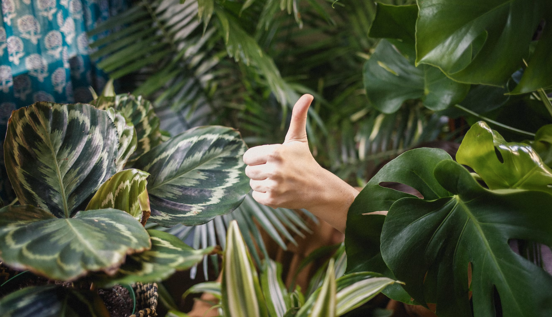 10+ Proven Email Marketing Best Practices to Boost Success