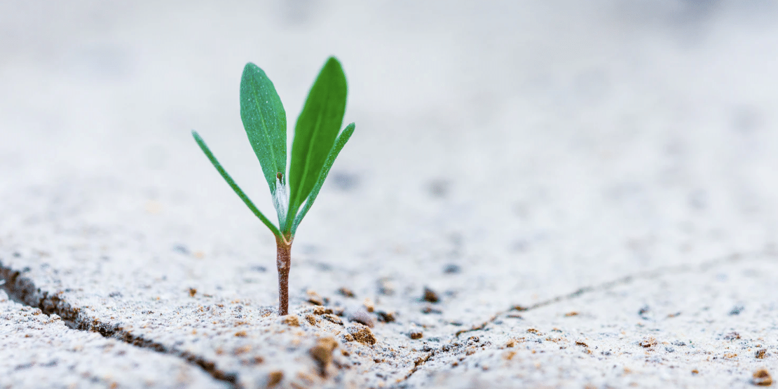 Grow Your Email List — 13 Simple & Creative Strategies