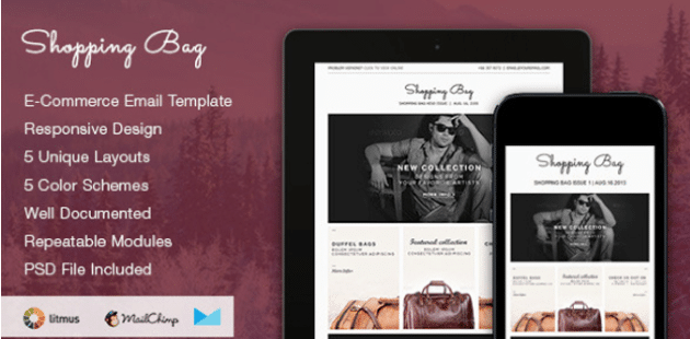 Shopping Bag Email Template